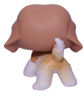 #0229 Saint Bernard